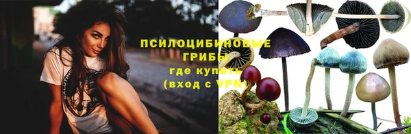 меф Ельня