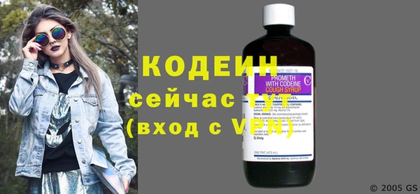 меф Ельня