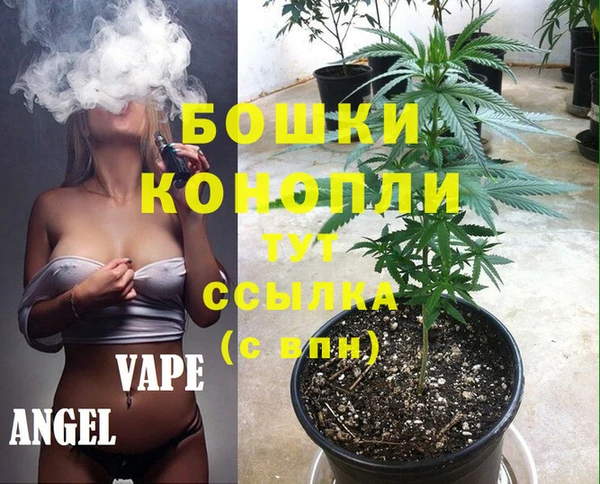 меф Ельня