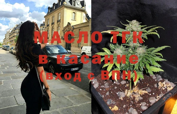 меф Ельня