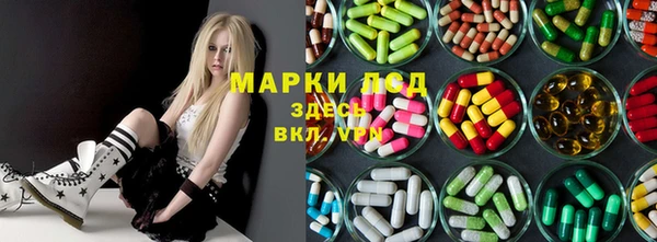 меф Ельня