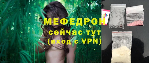 меф Ельня